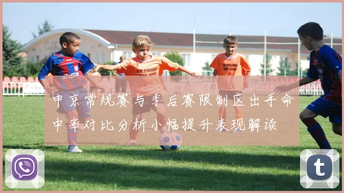 申京常规赛与季后赛限制区出手命中率对比分析小幅提升表现解读
